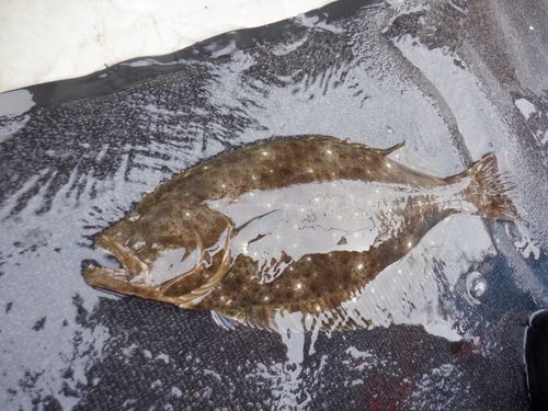 三陸海岸（青森）