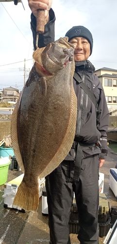 ヒラメの釣果
