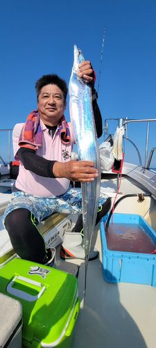 タチウオの釣果