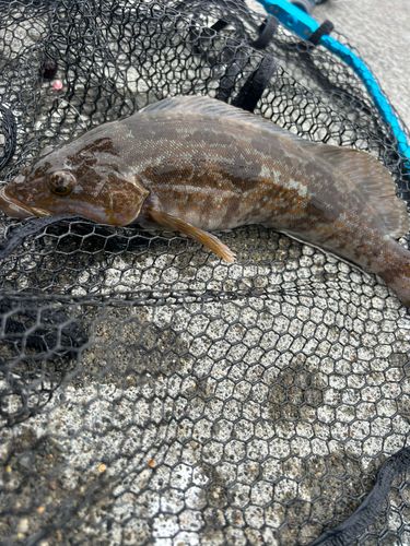 船越湾（岩手）