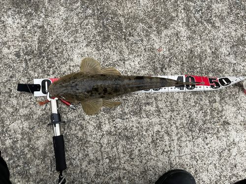 セントレア常滑港前島