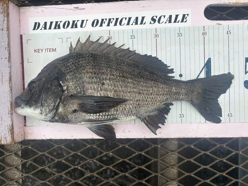 大黒海づり施設