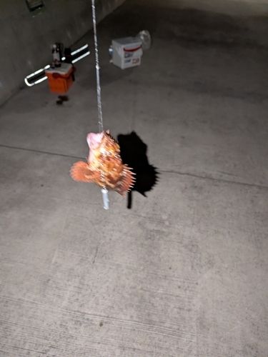 金沢水際線緑地（福浦岸壁）