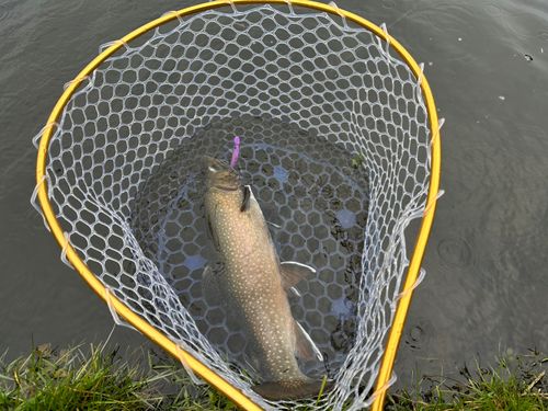 フィッシングエリア ウキウキランド