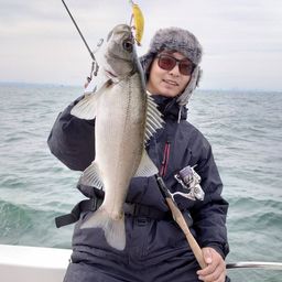 フッコ（ヒラスズキ）