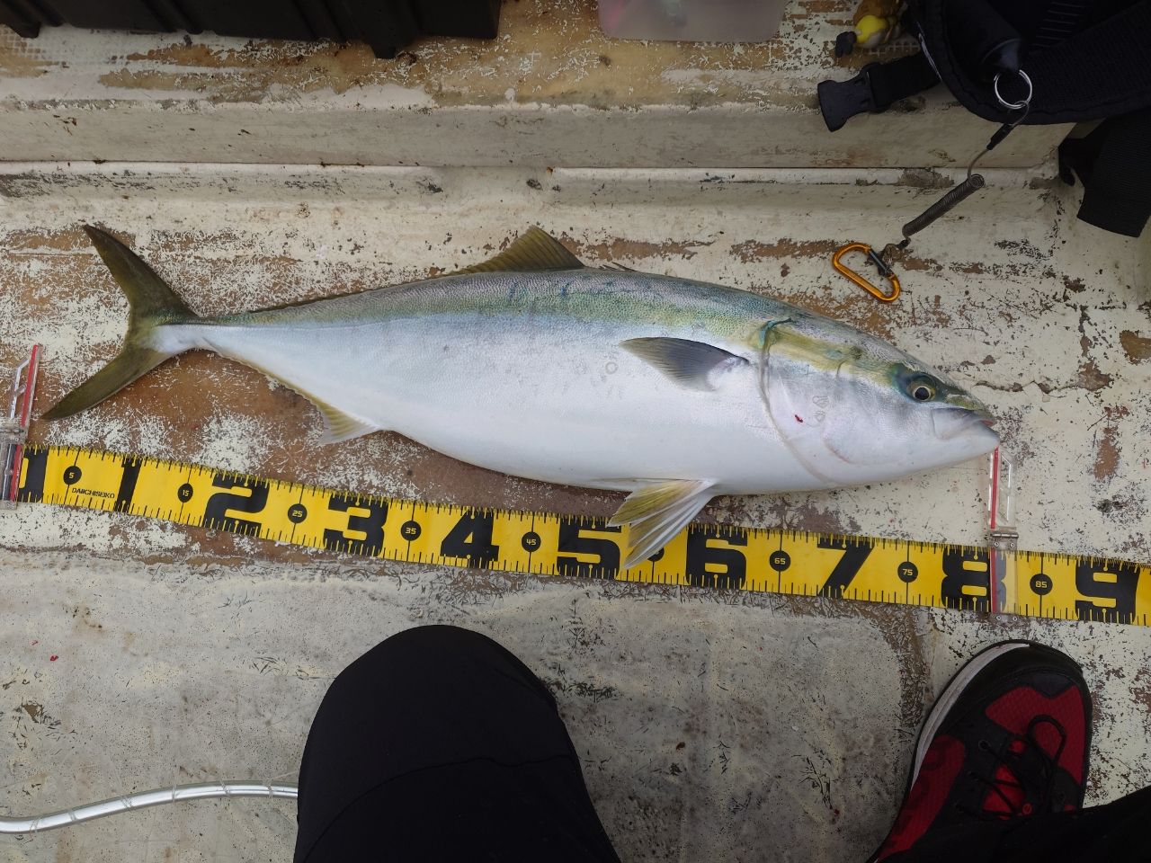 SHIMANO 24オシアジガー ナチュラルジャーク NJ S64-4の最安値