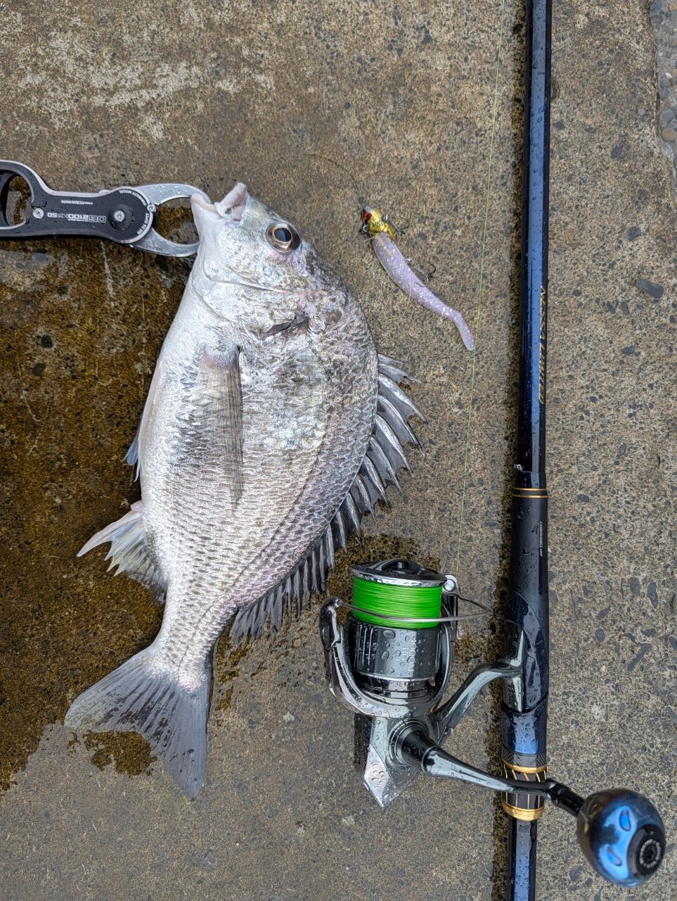 シマノ 23ネッサリミテッド116M ショアジギングロッド 23ネッサリミテッド】シマノの最高峰サーフゲームロッドが5年ぶりに