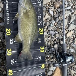 スモールマウスバス