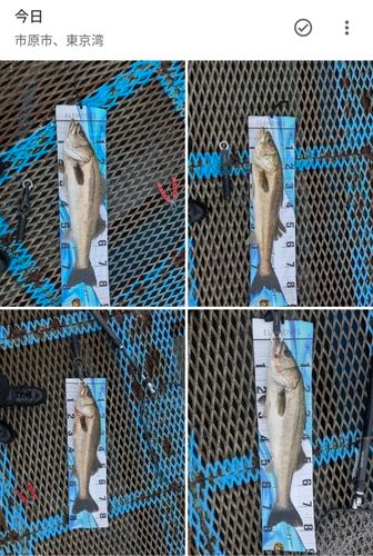 オリジナルメーカー海釣り公園