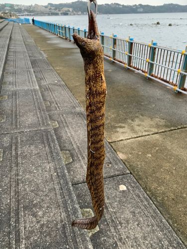 湯河原海浜公園