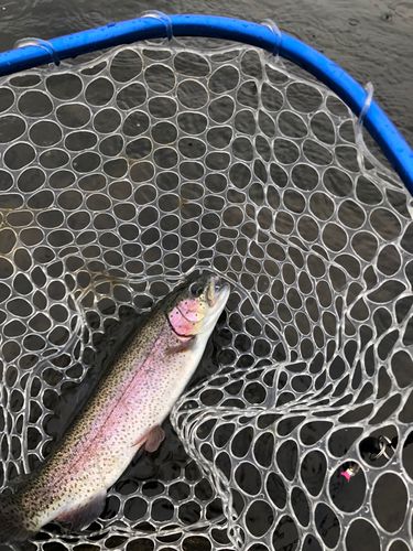 川場フィッシングプラザ