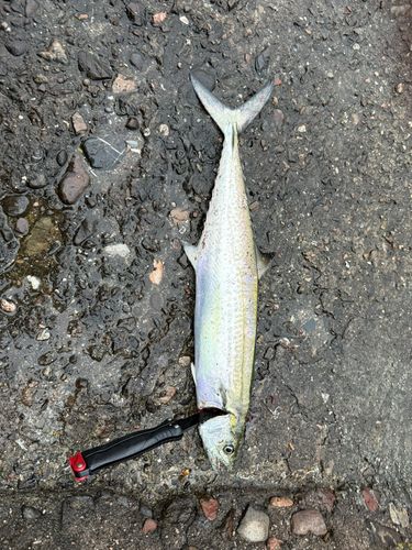 忠岡木材コンビナート