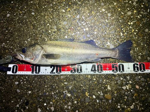 千葉港中央埠頭