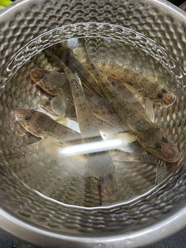 仙台港中央公園