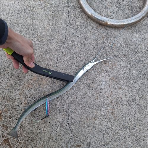 三陸海岸（岩手）