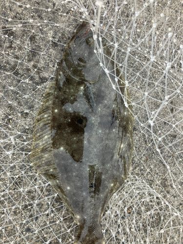 小名浜港市場前