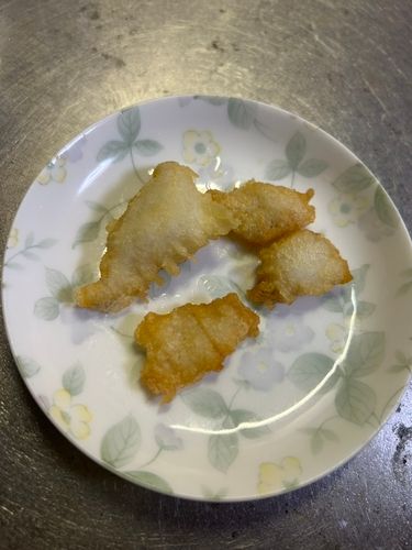 アイナメの釣果