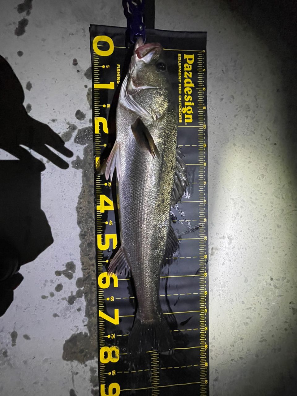 JUMPRIZE オールウェイク 97スクイッドバトルの最安値・インプレ・釣果