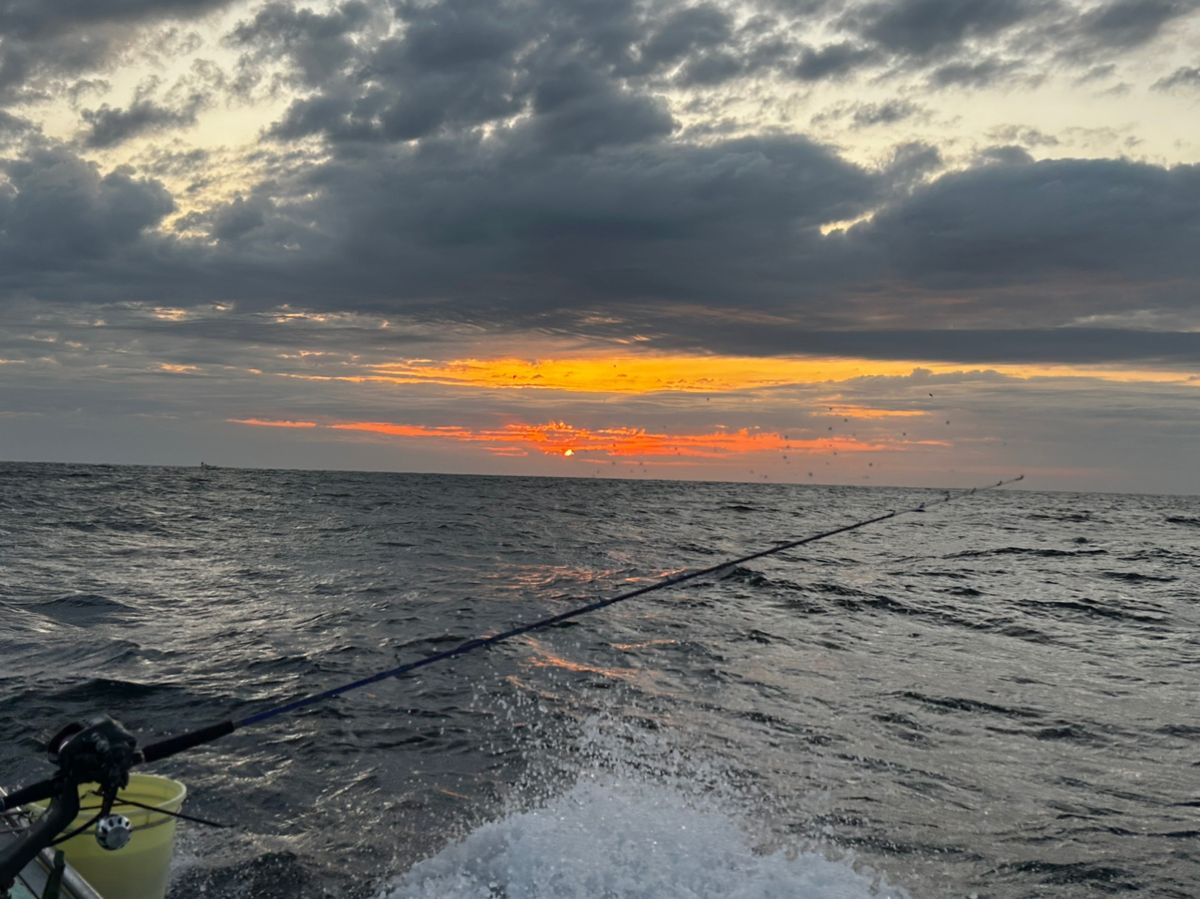 Hempさんの釣果 3枚目の画像