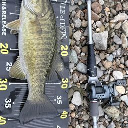 スモールマウスバス