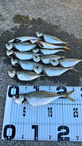 小名浜港アクアマリンふくしま周辺