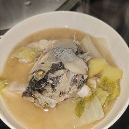 トウベツカジカ