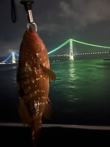 アジュール舞子