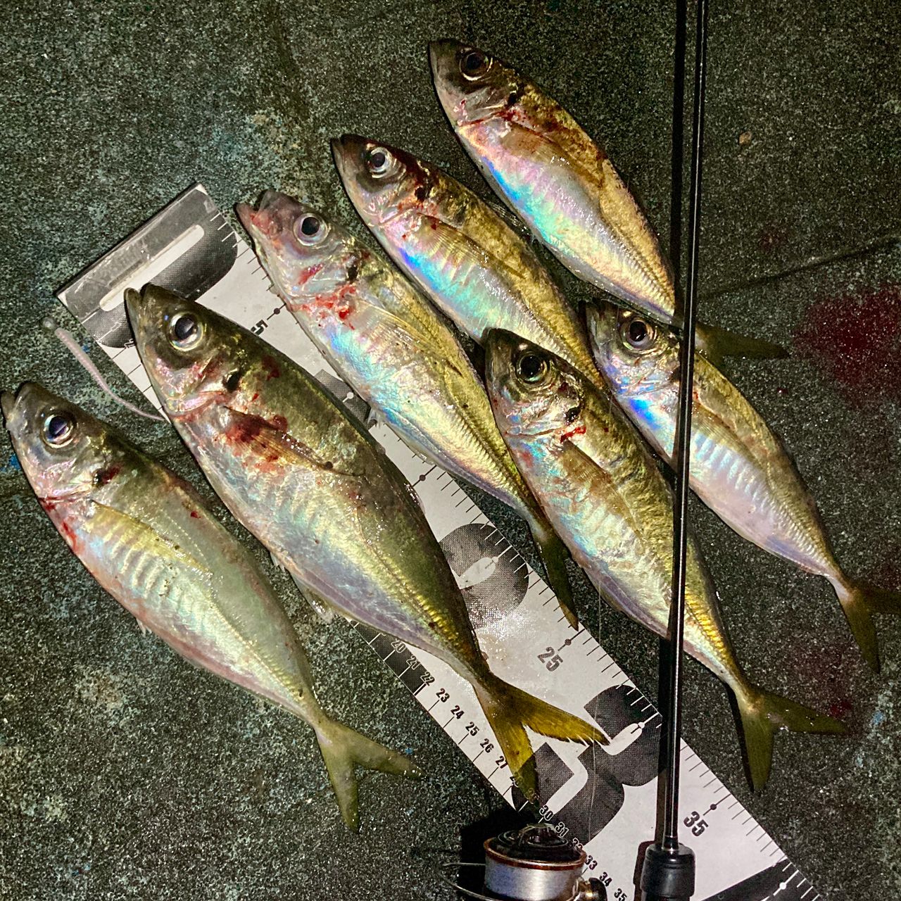 Gamakatsu ラグゼ 宵姫 華 弍 S54FL-solidの最安値・インプレ・釣果