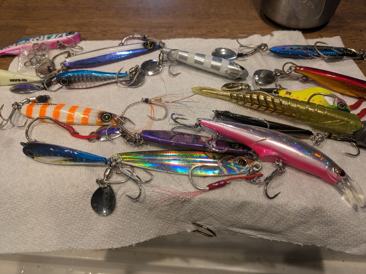 ぼ〜ちゃんFamily🎣さんの釣果 2枚目の画像