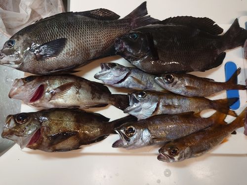 金沢水際線緑地（福浦岸壁）