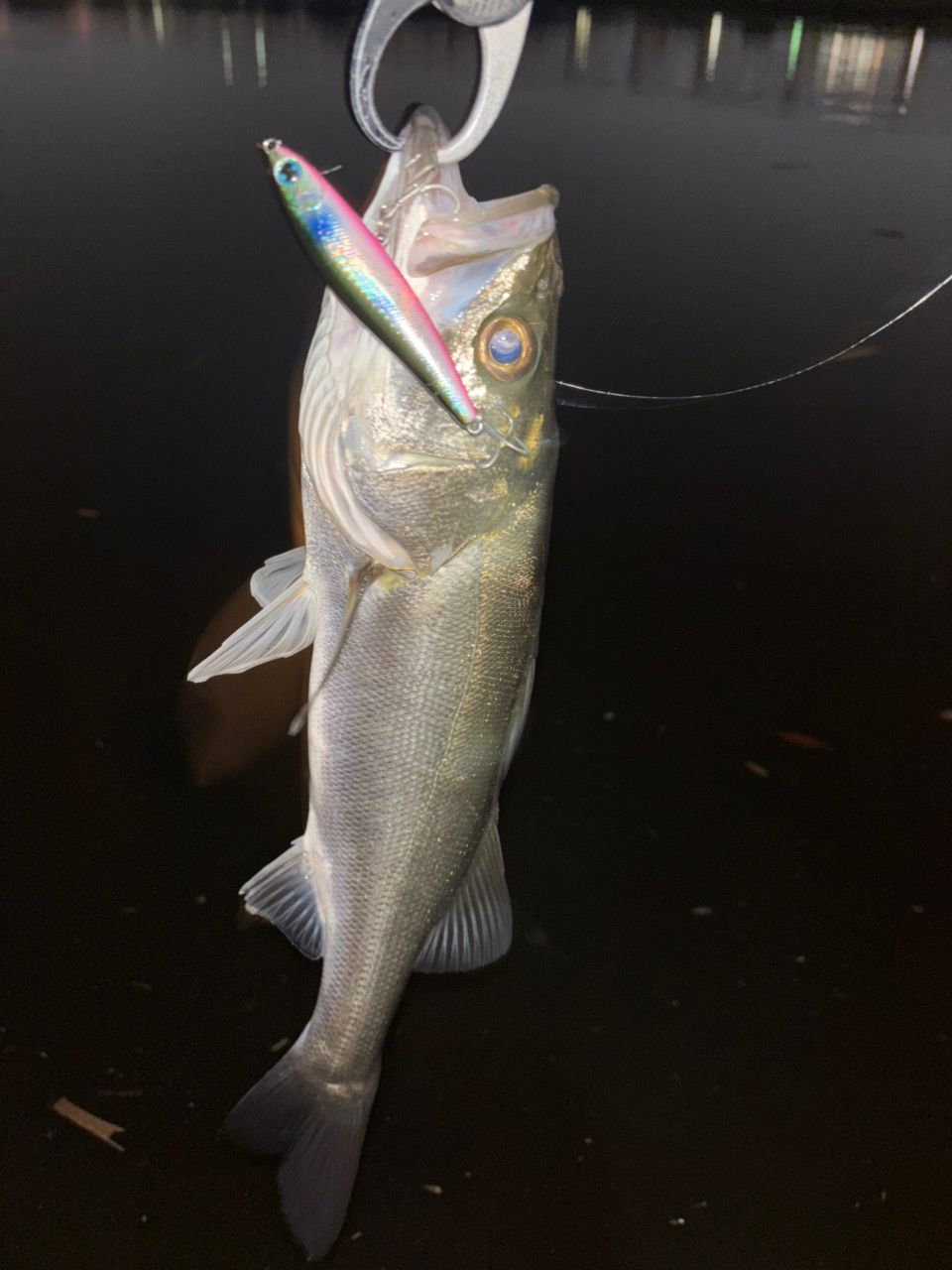 DAIWA モアザン ブランジーノ EX AGS 2021年モデルの最安値・インプレ