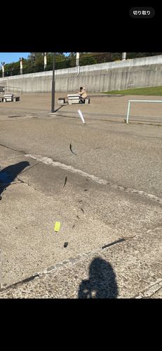 鳴尾浜臨海公園海づり広場