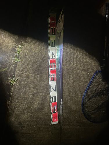 東京湾（アクアライン〜富津）