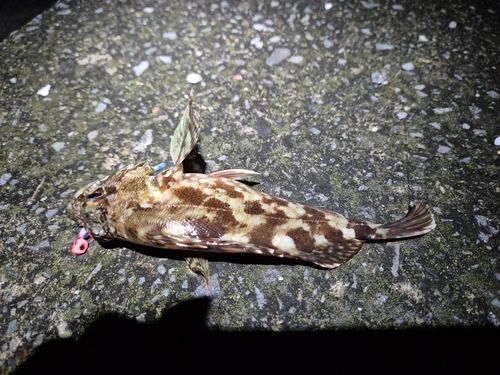 松前港（愛媛）