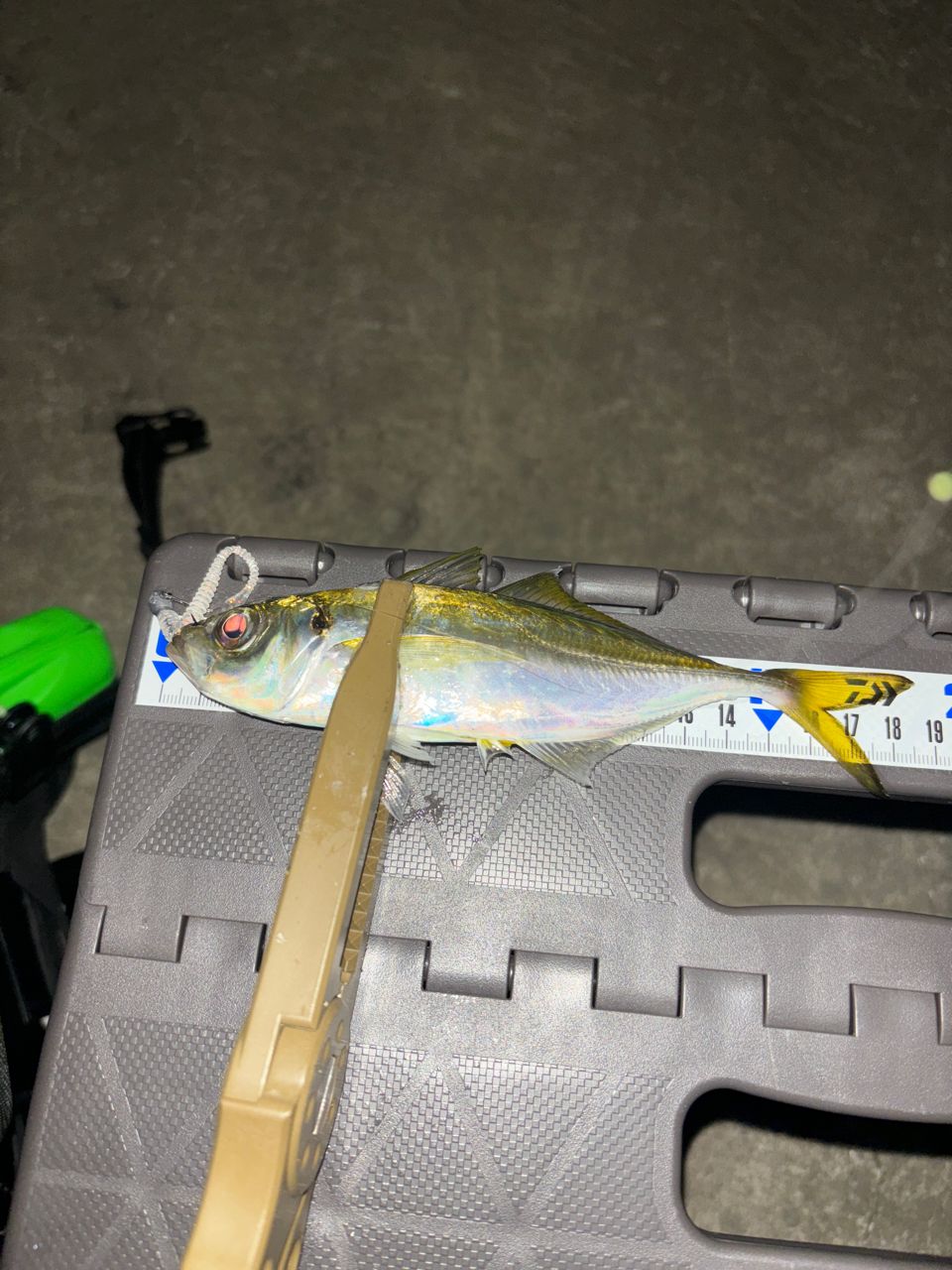 Gamakatsu ラグゼ 宵姫 華 弍 S62UL-solidの最安値・インプレ・釣果