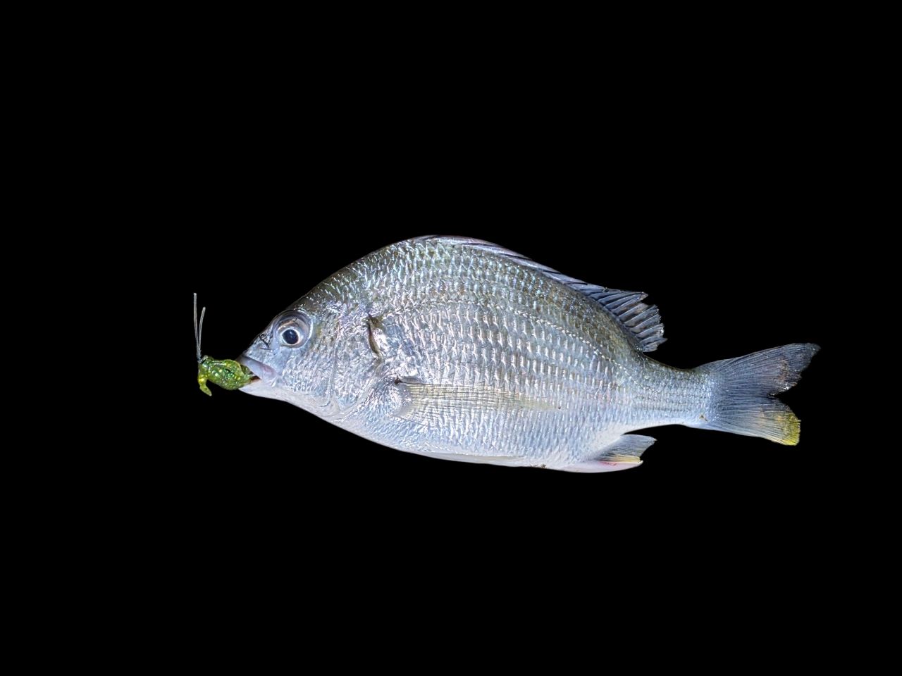 SHIMANO 22メタ二ウムシャローエディション XG RIGHTの最安値