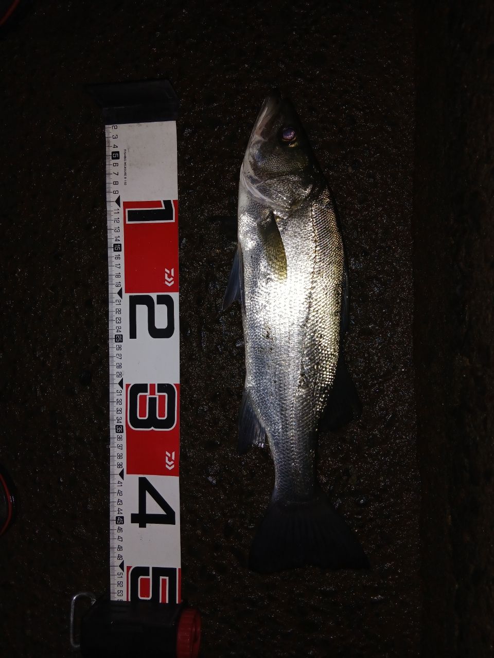 TENRYU スワット SW932S-LMLの最安値・インプレ・釣果 | 本音の口コミ