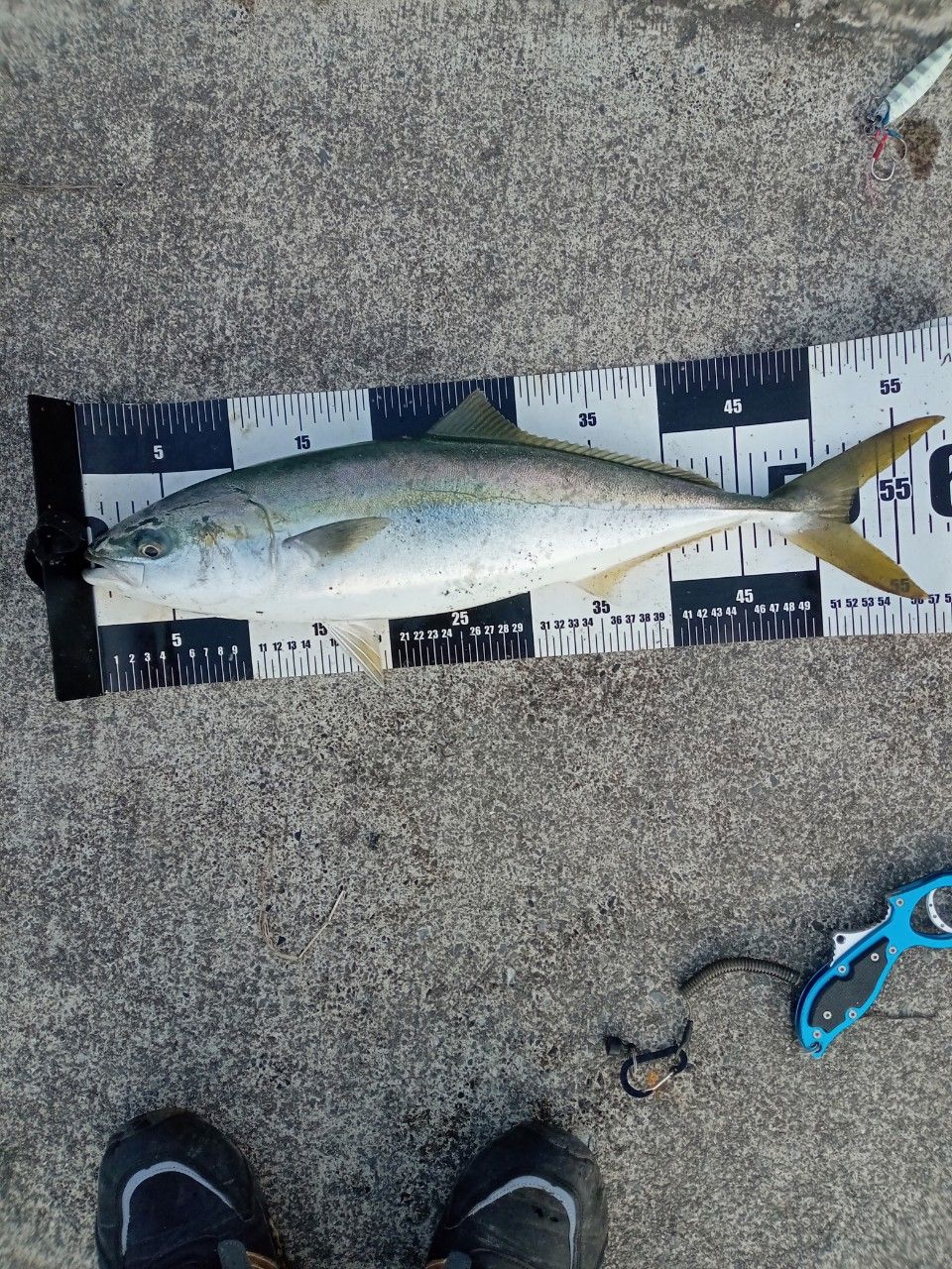 SHIMANO 20コルトスナイパー XR S100MHの最安値・インプレ・釣果