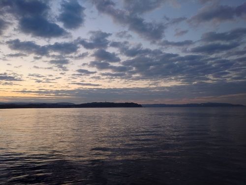 アカメフグの釣果