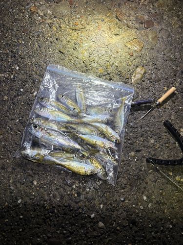 忠岡木材コンビナート