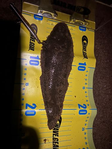 鈴鹿川派川河口