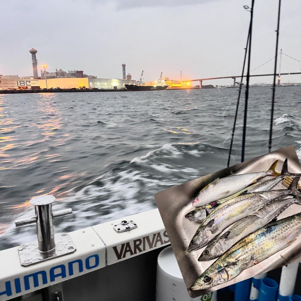 武田心慰さんの釣果 1枚目の画像