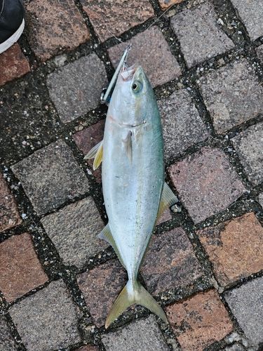 関門海峡（山口）