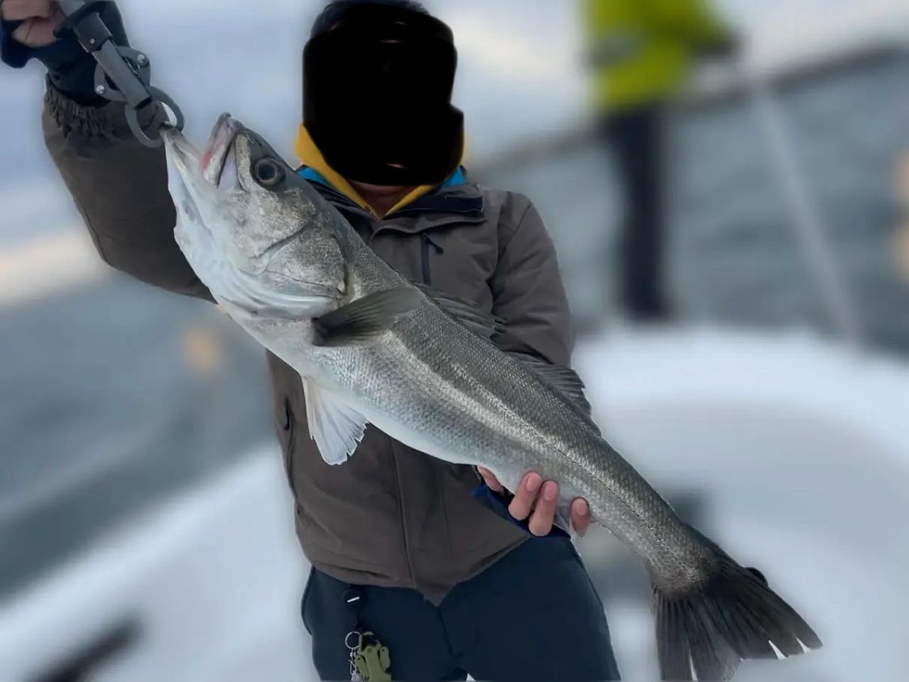 SHIMANO ディアルーナ BS B63Hの最安値・インプレ・釣果 | 本音の