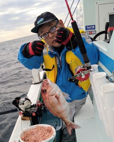 マダイの釣果