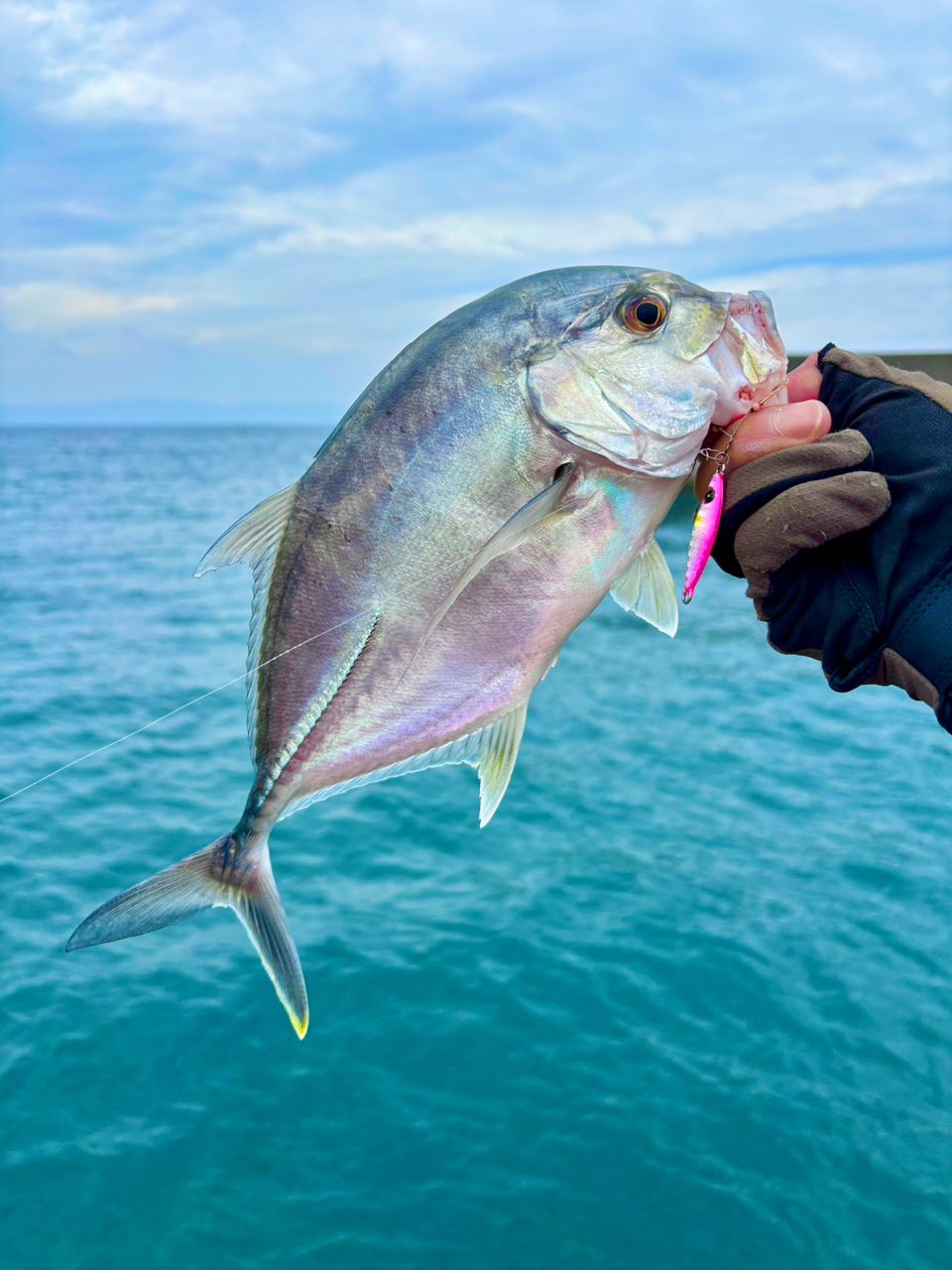 SHIMANO 19ソルティーアドバンス AJING S610L-Sの最安値・インプレ