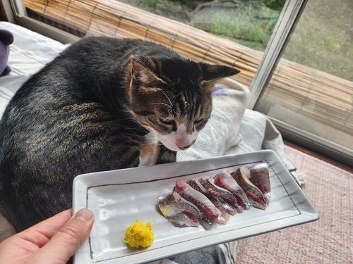 小名浜港アクアマリンふくしま周辺