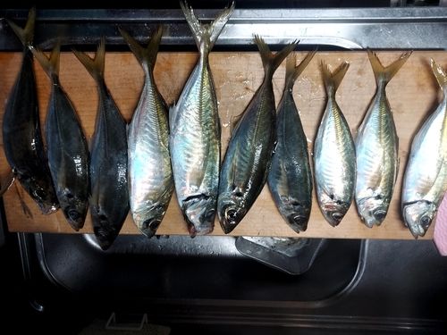 小名浜港市場前