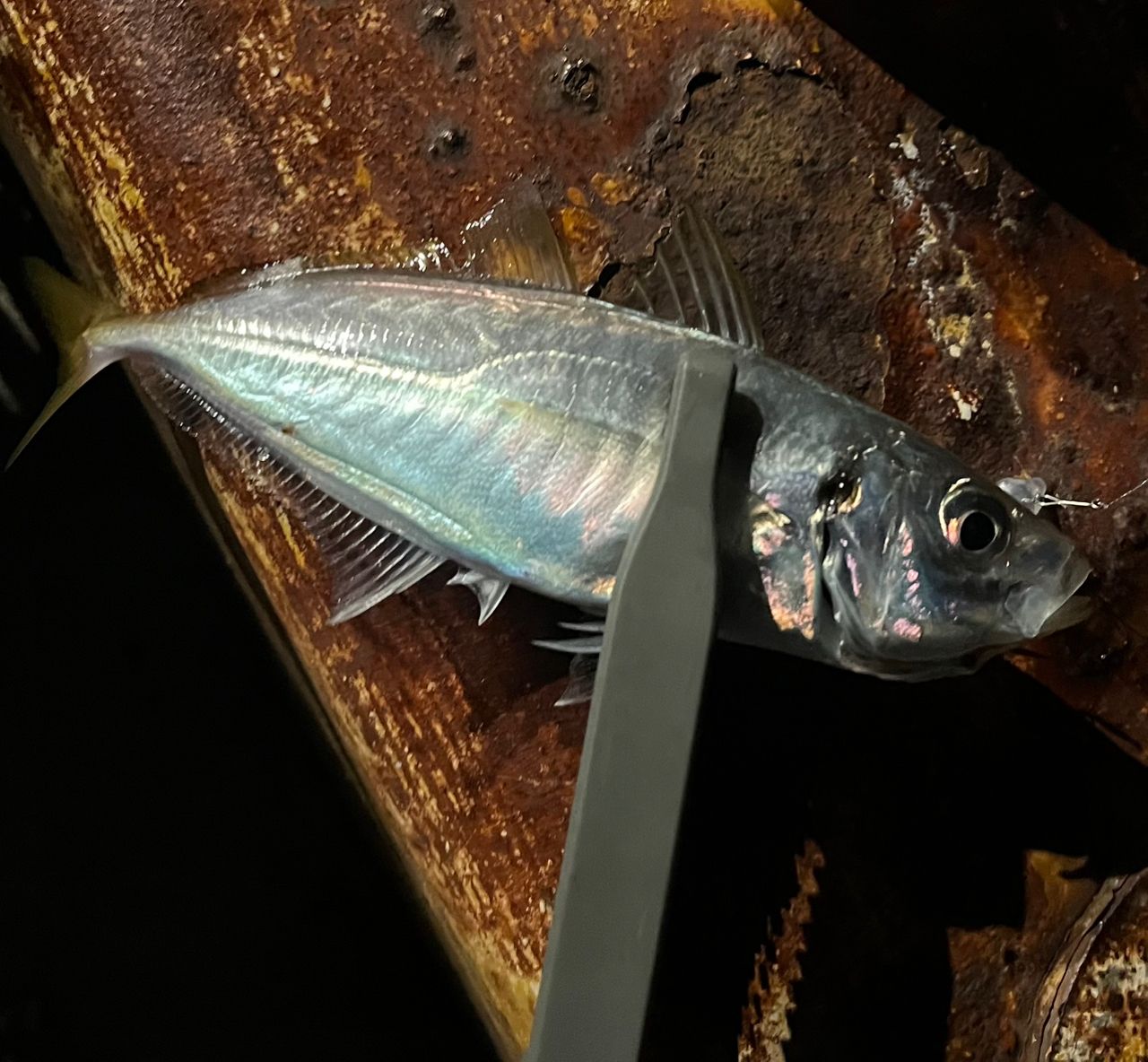 TENRYU ルナキア LK632S-LMLSの最安値・インプレ・釣果 | 本音の口コミ