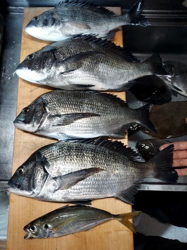 小名浜港市場前